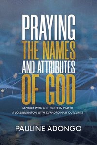 bokomslag Praying the Names and Attributes of God