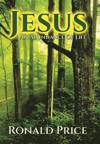 bokomslag Jesus An Abundance Of Life