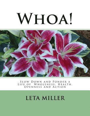 Whoa!: Slow Down and Ponder a Life of Wholeness, Health, Openness and Action 1