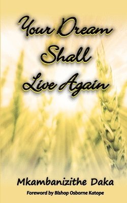 Your Dream shall Live Again: Moving Beyond the Pain of Yesterday 1