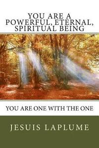 bokomslag You Are a Powerful, Eternal, Spiritual Being: You Are One with the One