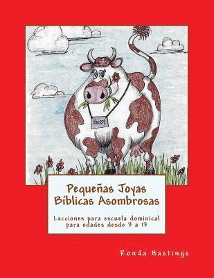 bokomslag Pequeñas Joyas Biblicas Asombrosas: Lecciones para escuela dominical para edades desde 3 a 13