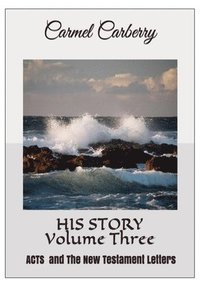 bokomslag HIS STORY Volume Three