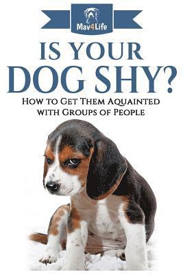 bokomslag Is Your Dog Shy?