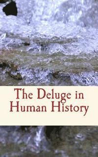 bokomslag The Deluge in Human History