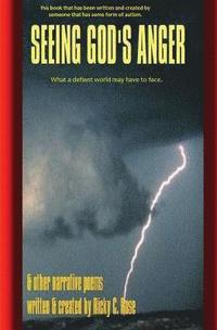 bokomslag Seeing God's Anger: and other narrative poems