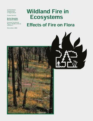 bokomslag Wildland Fire in Ecosystems: Effects of Fire on Flora