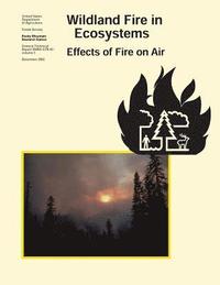 bokomslag Wildland Fire on Ecosystems: Effects of Fire on Air