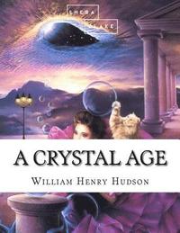 bokomslag A Crystal Age