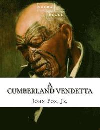 bokomslag A Cumberland Vendetta