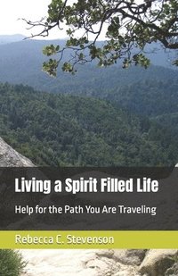 bokomslag Living a Spirit Filled Life