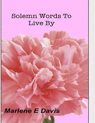 bokomslag Solemn Words To Live By