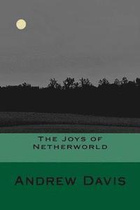 bokomslag The Joys of Netherworld