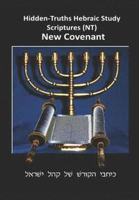 bokomslag Hidden Truths Hebraic Scrolls NT: Writings of the Disciples