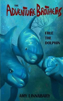 The Adventure Brothers: Free the Dolphin 1