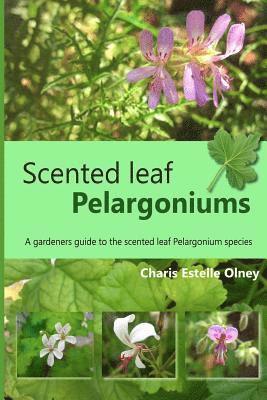 bokomslag Scented leaf pelargoniums: A gardeners guide to the scented leaf pelargonium species