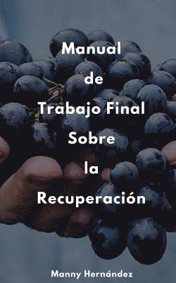 bokomslag Manual de Trabajo Final: Sobre la Recuperación