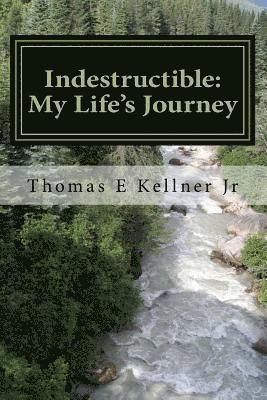 bokomslag Indestructible: My Life's Journey