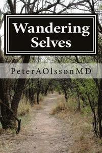 bokomslag Wandering Selves: Short Stories by Peter Olsson MD