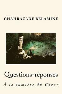 bokomslag Questions-Réponses À La Lumière Du Coran