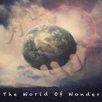 bokomslag The World Of Wonder: The wonderful world