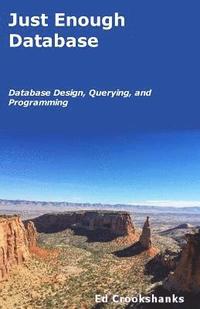 bokomslag Just Enough Database: Database Design, Querying, and Programming