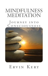 bokomslag Mindfulness Meditation: Journey into Consciousness