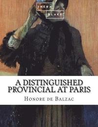 bokomslag A Distinguished Provincial at Paris