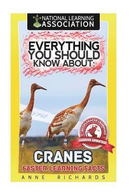 Anne Richards - Everything You Should Know About: Cranes, Häftad