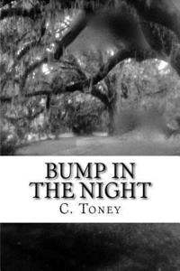bokomslag Bump in the Night