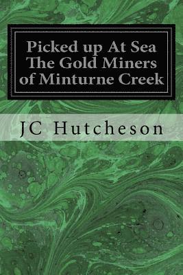 Picked up At Sea The Gold Miners of Minturne Creek 1