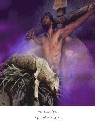 Carl W. Rice D. D. - The Book of John, Häftad