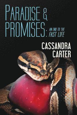 Paradise & Promises: An End to the Fast Life 1