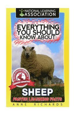 Anne Richards - Everything You Should Know About: Sheep, Häftad