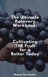 bokomslag The Ultimate Recovery Workbook: Cultivating THE Fruit for a Better Today