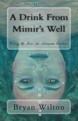 A Drink from Mimir's Well 1