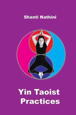 bokomslag Yin Taoist Practices: Methodical Manual