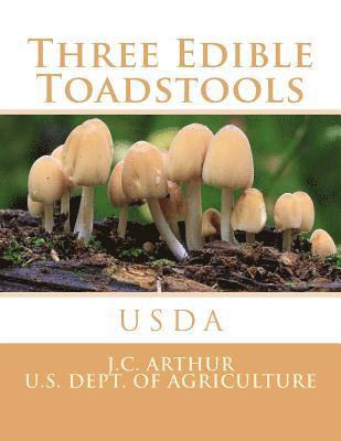 bokomslag Three Edible Toadstools