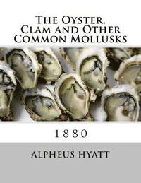 bokomslag The Oyster, Clam and Other Common Mollusks