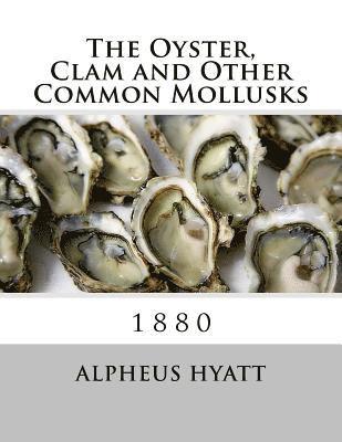 Alpheus Hyatt - The Oyster, Clam and Other Common Mollusks, Häftad
