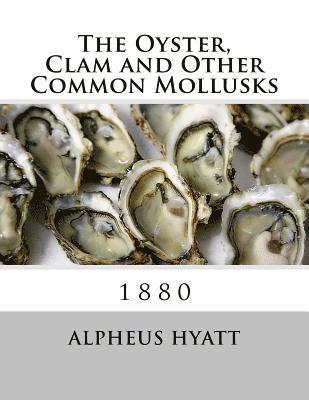 The Oyster, Clam and Other Common Mollusks 1