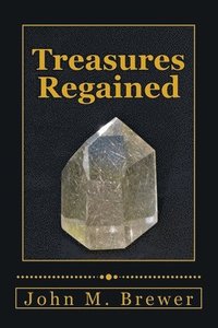 bokomslag Treasures Regained