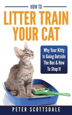 How To Litter Train Your Cat 1