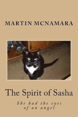 The Spirit of Sasha 1