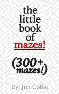 bokomslag The little book of mazes