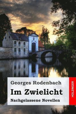 bokomslag Im Zwielicht: Nachgelassene Novellen
