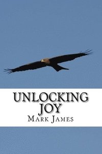 bokomslag Unlocking Joy