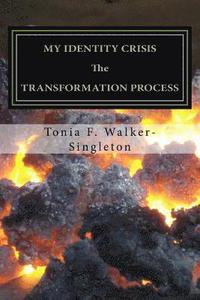 bokomslag My Identity Crisis: The Transformation Process
