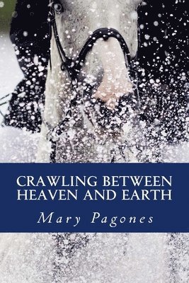 bokomslag Crawling Between Heaven and Earth
