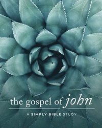 bokomslag Gospel of John